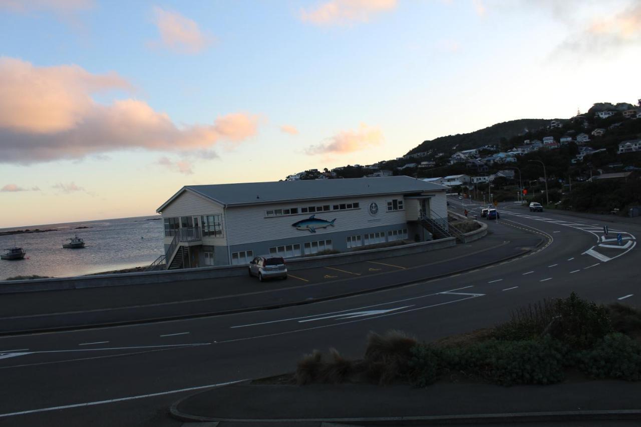 Modern & Cosy Studio Unit On Island Bay Beachfront Wellington Buitenkant foto