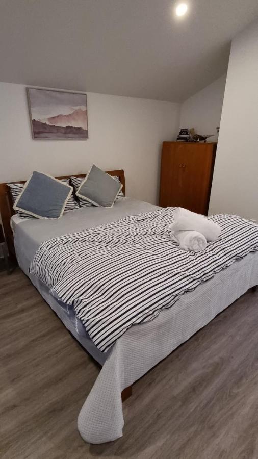 Modern & Cosy Studio Unit On Island Bay Beachfront Wellington Buitenkant foto